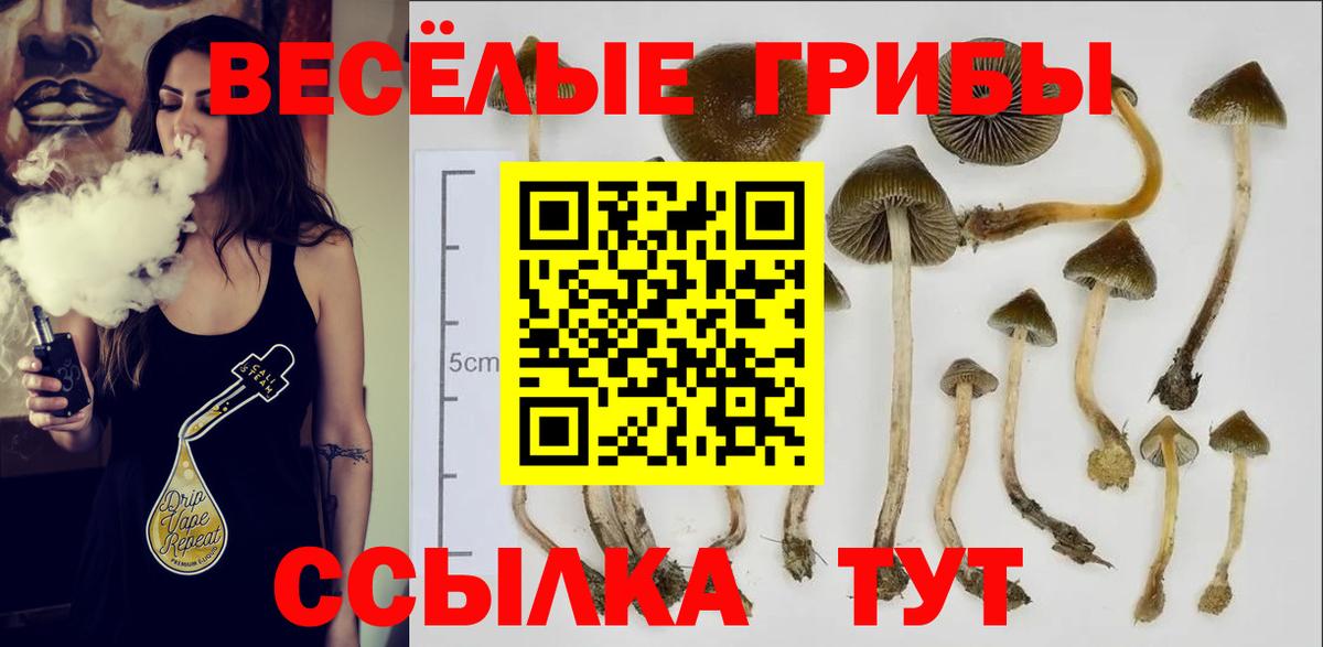 Галлюциногенные грибы мицелий  Вход с VPN  Солнечногорск  Псилоцибиновые грибы прущие грибы 